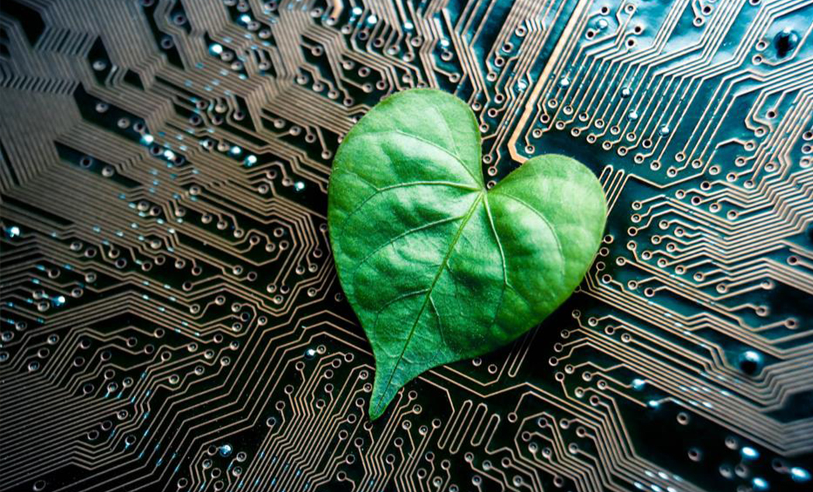 Sustainable Practices - Jordan